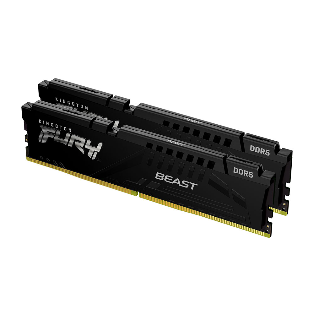 FURY_Beast_Black_EXPO_DDR5_2_angle-zm-lg
