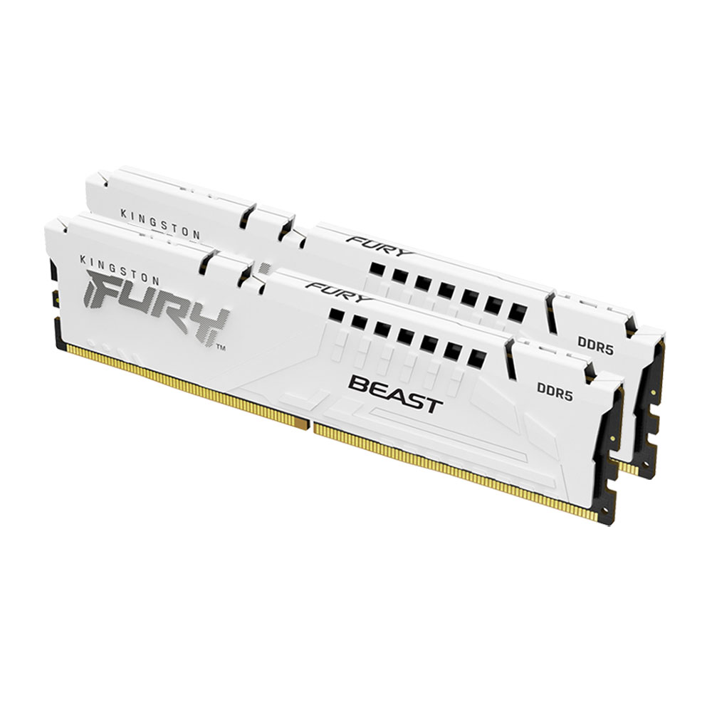FURY_Beast_white_EXPO_DDR5_2_angle-zm-lg